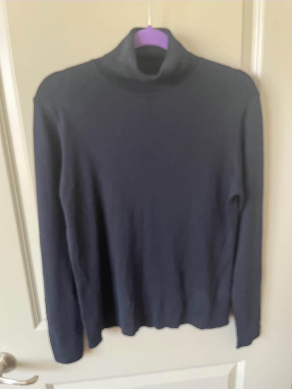 Ann Taylor Turtleneck Sweater